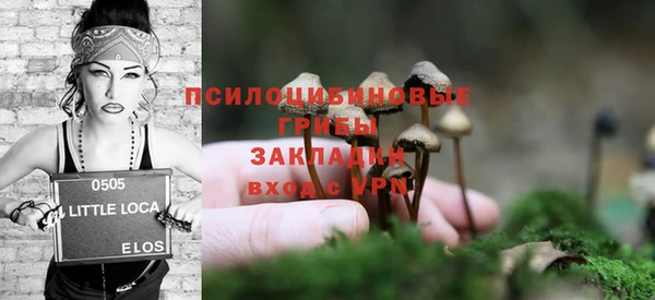 трава Вуктыл