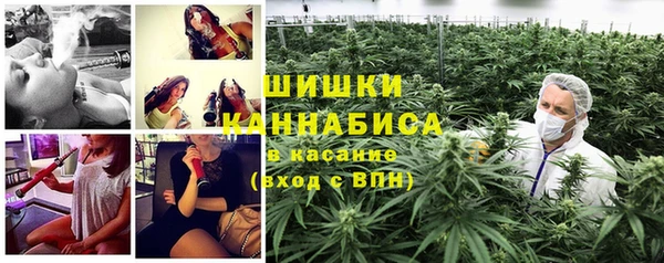 индика Красноперекопск