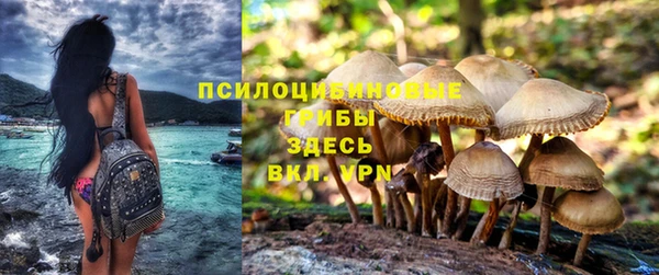 соль курить ск Коряжма
