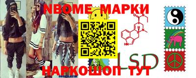 гашик Кулебаки