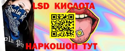 гашик Кулебаки