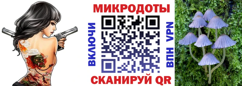 Псилоцибиновые грибы ЛСД  где можно купить   Кохма 