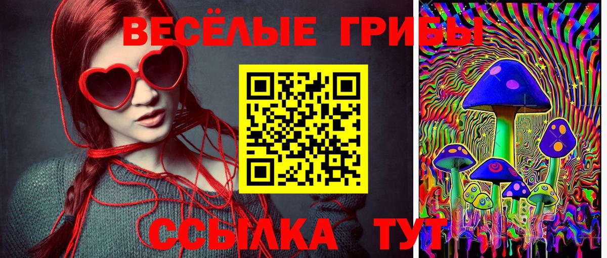 Кохма  Псилоцибиновые грибы мицелий  Вход с VPN 