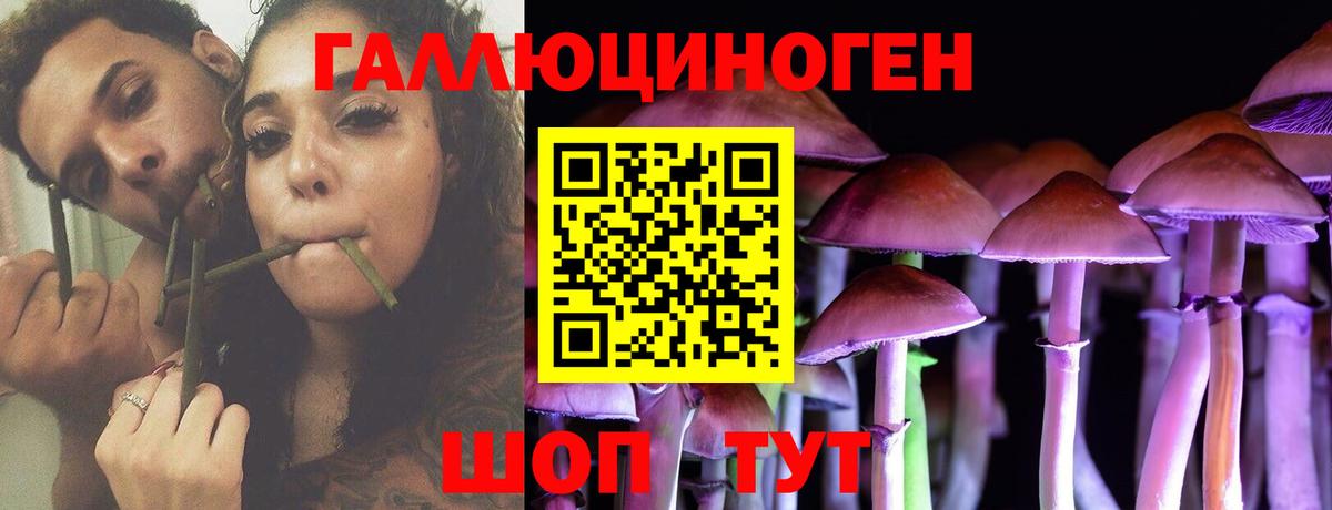 Псилоцибиновые грибы ЛСД Кохма