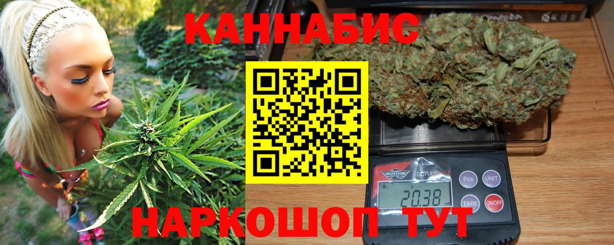 Канабис семена Кохма